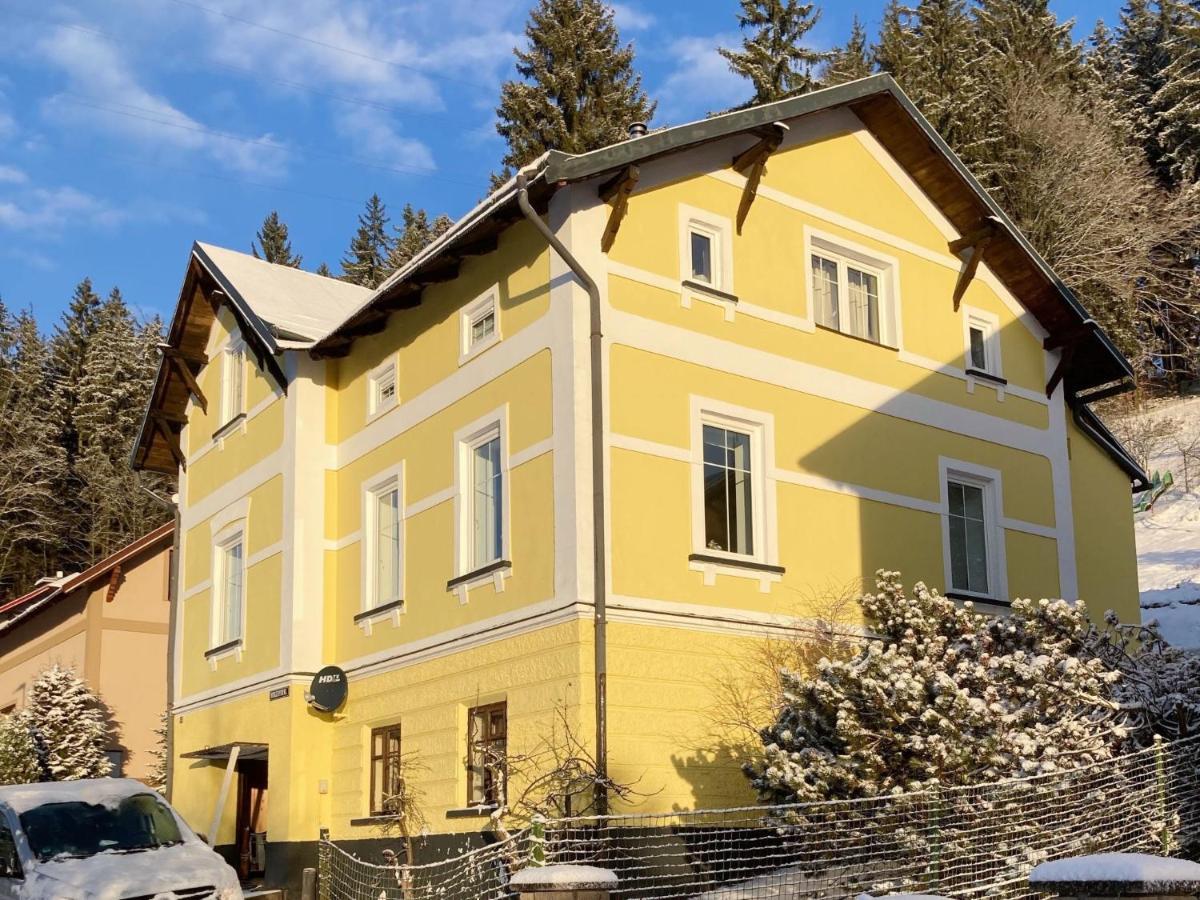 Villa Svoboda Na Upou By Interhome 乌帕河畔斯沃博达 外观 照片