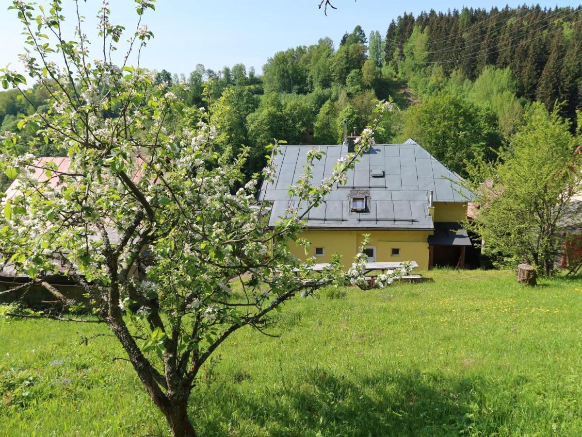 Villa Svoboda Na Upou By Interhome 乌帕河畔斯沃博达 外观 照片